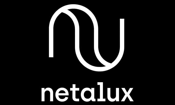 Netalux Needle laser cleaning system - compact precision cleaning